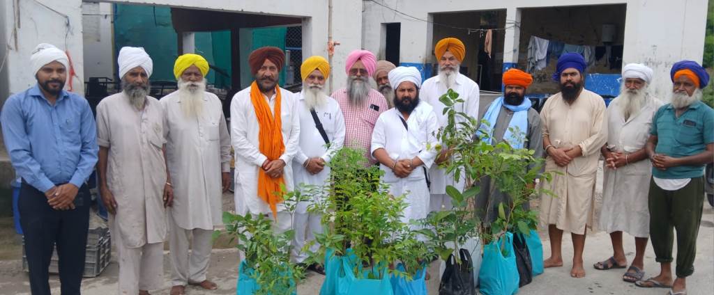 Support for the tree plantation campaign on the GarhshankarAnandpur Sahib road under Kar Sewa